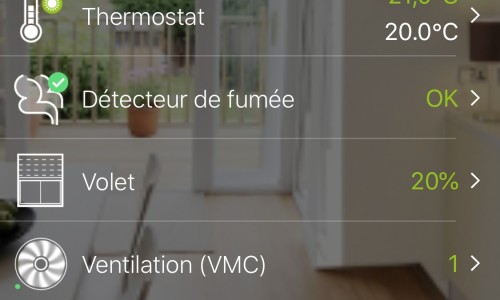 Thermostat connecté DELTA DORE 